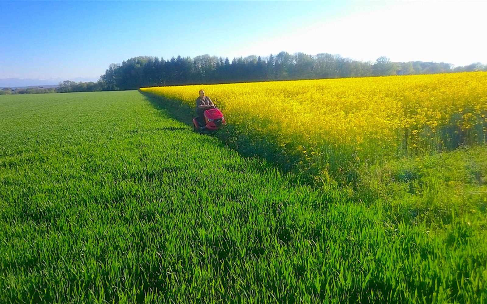 Hochgrasmäher im Einsatz auf einer weitläufigen Wiese