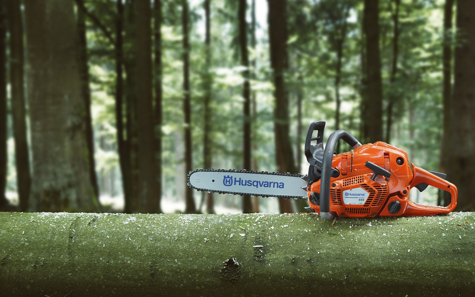 Husqvarna Motorsäge auf einem Baumstamm im Wald